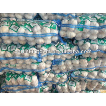 3P 10kg carton white garlic